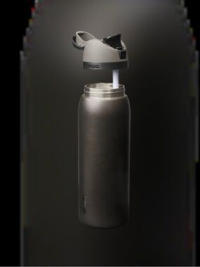 Owala 40oz Metallic FreeSip® Water Bottle (Grey Nailed It)